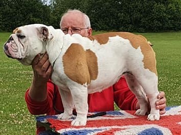 Legrand Sveas Bull Saga