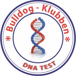 DNA Logo